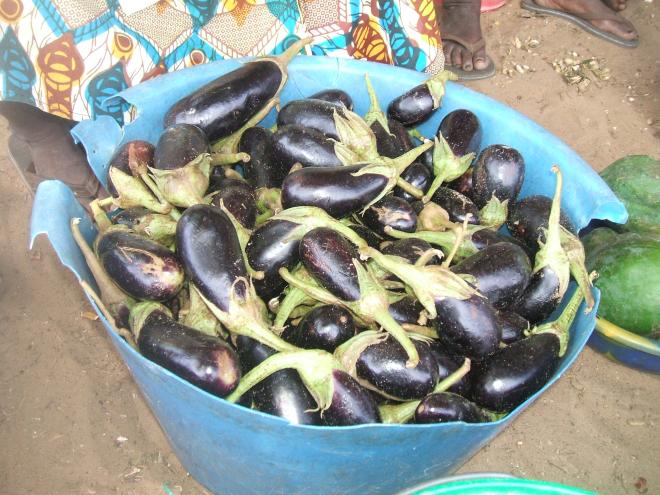 Agriculture biologique dans la communaut de Diender.